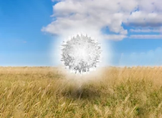 Dive Into the Ublu Universe with «Portals» Ublu - Portals